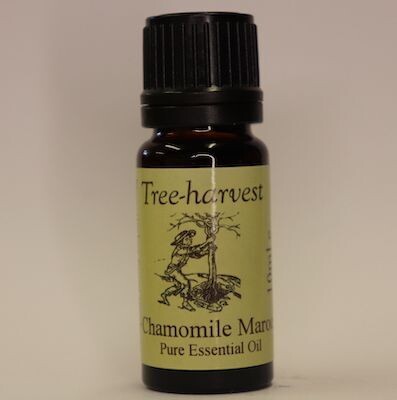 Chamomile Moroc Essential Oil, from