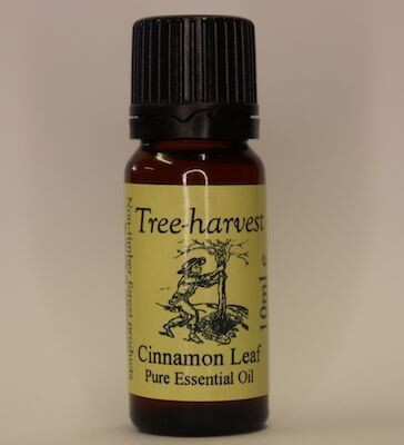 Cinnamon Leaf Essential Oil, from