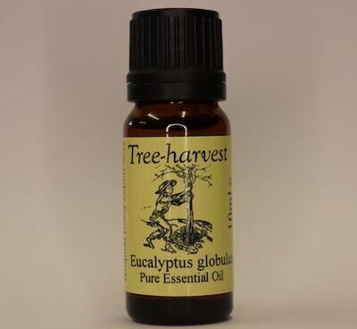 Eucalyptus Globulus * Essential Oil from (* organic source)