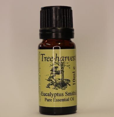 Eucalyptus Smithii Essential Oil, from