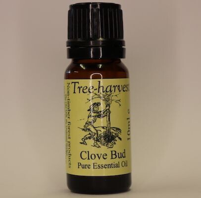 Clove Bud Essential Oil, from