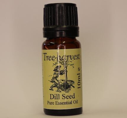 Dill Seed Essential Oil, from