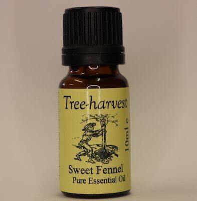 Fennel Sweet Essential Oil, from