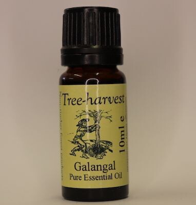 Galangal Essential Oil, from