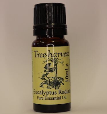 Eucalyptus Radiata Essential Oil, from