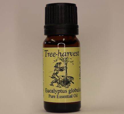 Eucalyptus Globulus Essential Oil