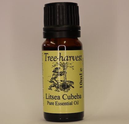 Litsea Cubeba (May Chang) Essential Oil, from