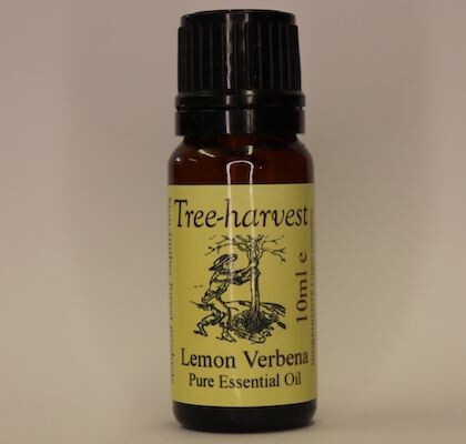 Lemon Verbena True Essential Oil, from