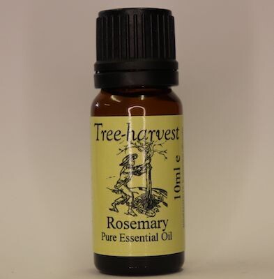 Rosemary Essential Oil, from