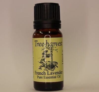 Lavender Bulgarian* Essential Oil, from (* organic source)