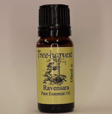 Ravensara Essential Oil, from