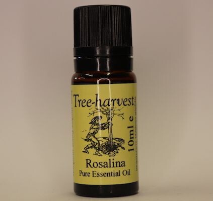 Rosalina Essential Oil, from