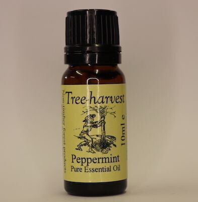 Peppermint Essential Oil