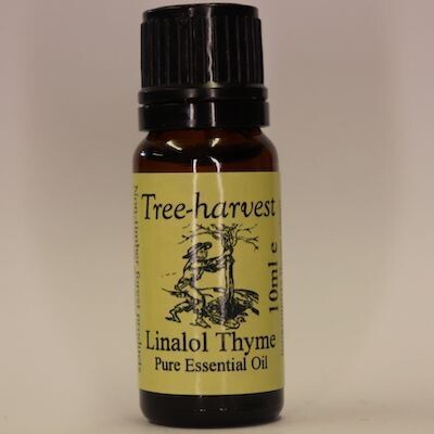 Thyme Linalol Essential Oil, from