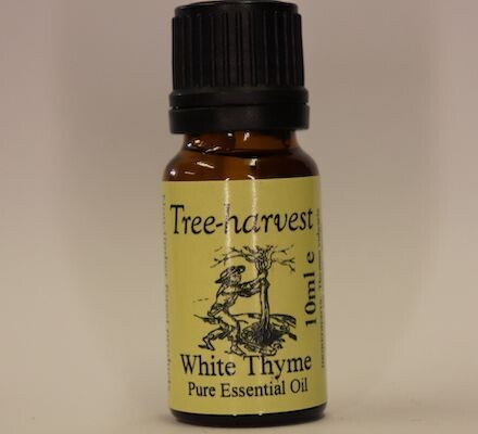 Thyme White Essential Oil, from