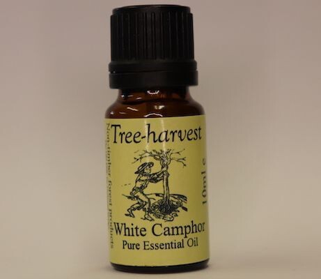 White Camphor Essential Oil, from