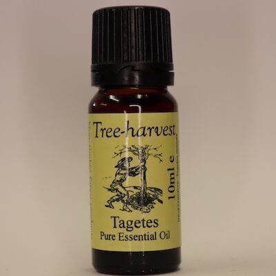 Tagetes Essential Oil, from