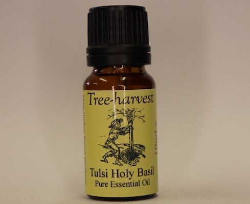 Tulsi - Sacred Basil Essential Oil, from