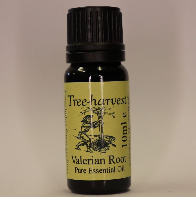 Valerian Root Essential Oil, from