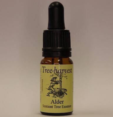 Alder Tree Essence, from