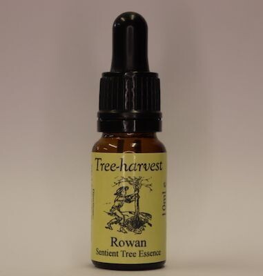 Rowan Tree Essence, from