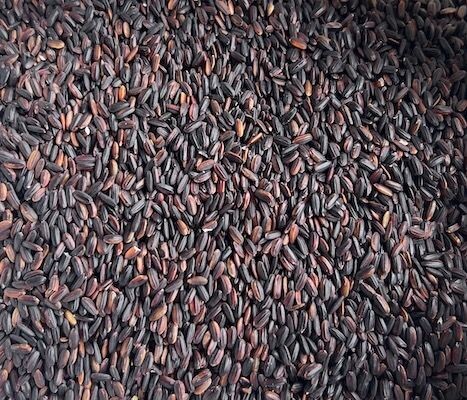 Rice Black Organic, from