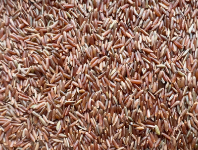 Rice Red Carmargue Organic, from