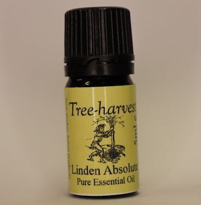 Linden Blossom Absolute, from