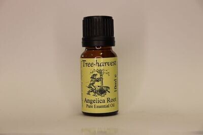 Angelica Root Essential Oil, from
