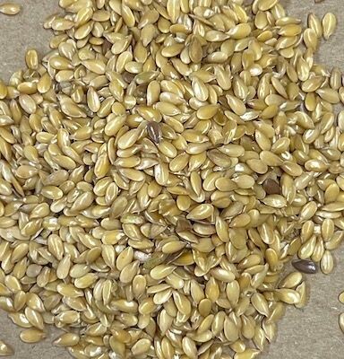 Linseed Golden Organic, from