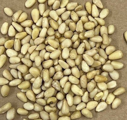 Pine Nuts Organic