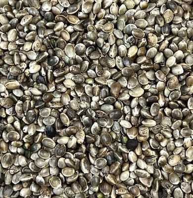 Hemp Seed Whole Organic European, from