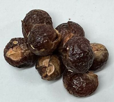 Soap Nuts, Whole From