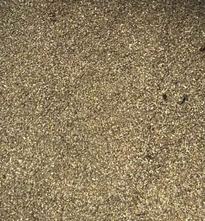 Basil Ground, from