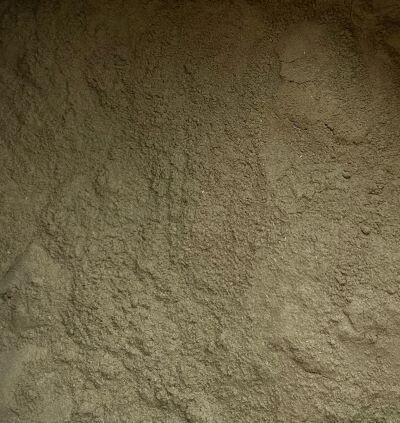Bay Leaves Ground, from