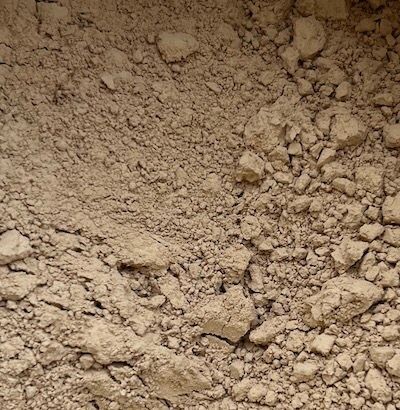 Tremella Fuciformis Mushroom Powder*,  *Organic Source from