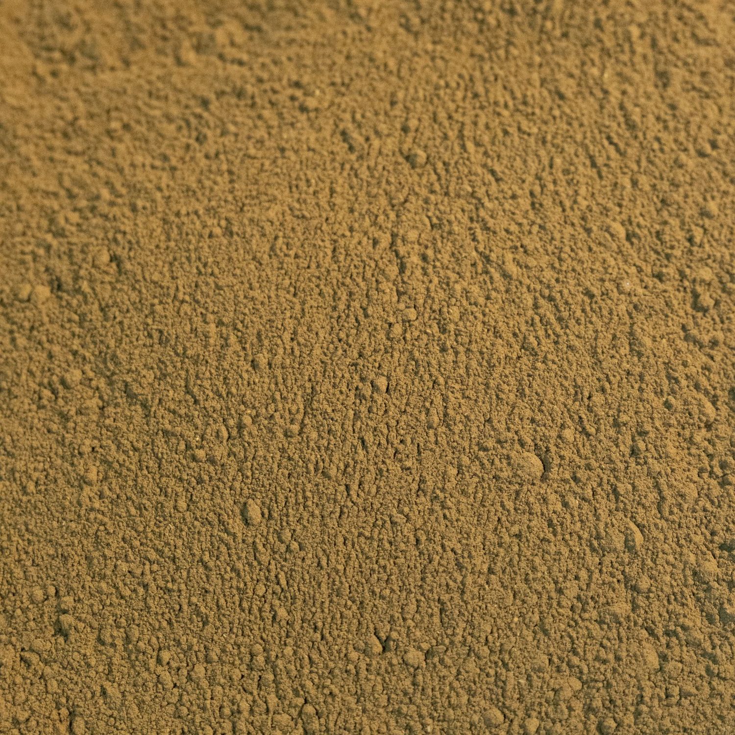 Yellow Dock Root Ground, from