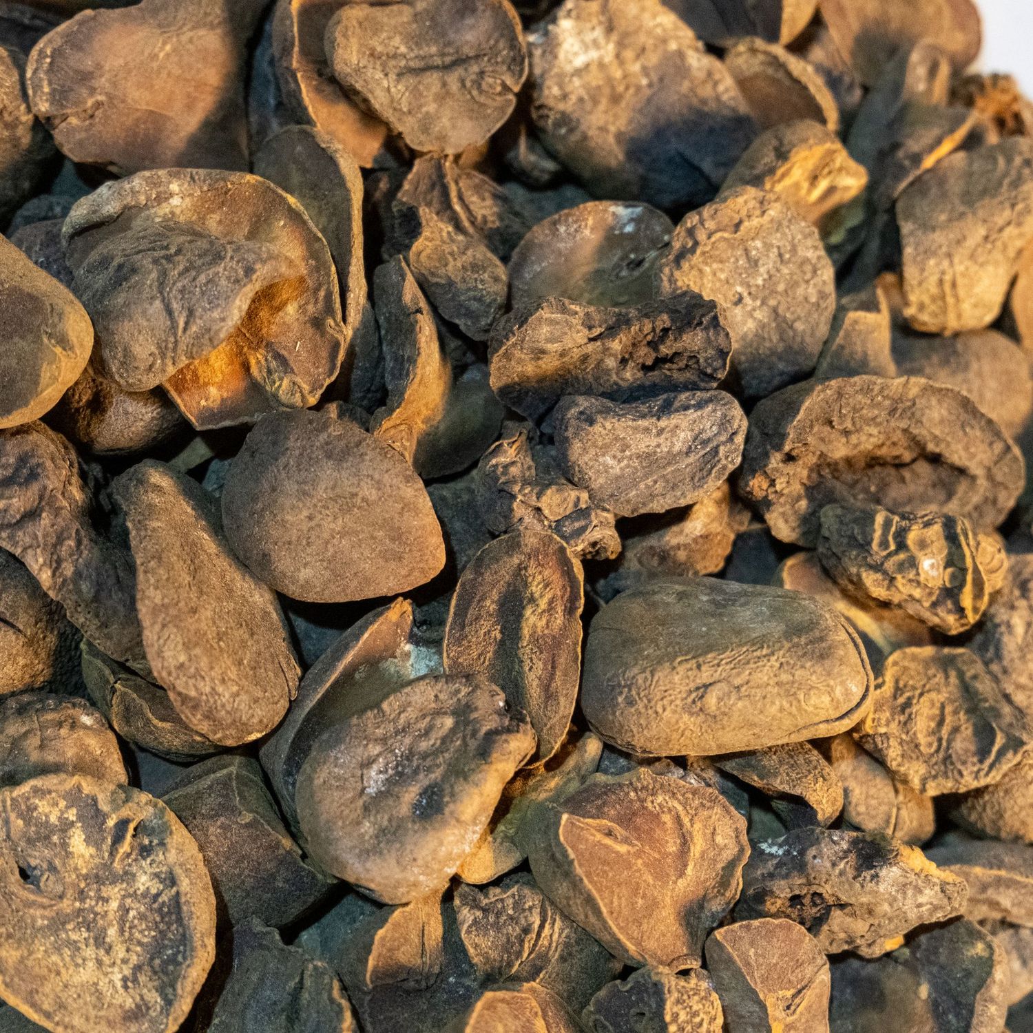 Cola Nuts Whole, from