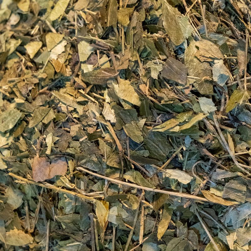 Lesser Periwinkle Herb, from