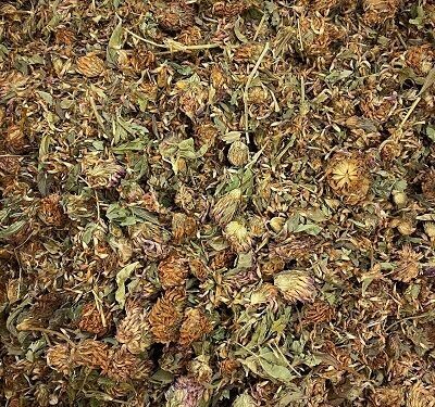 Red Clover Flowers, from