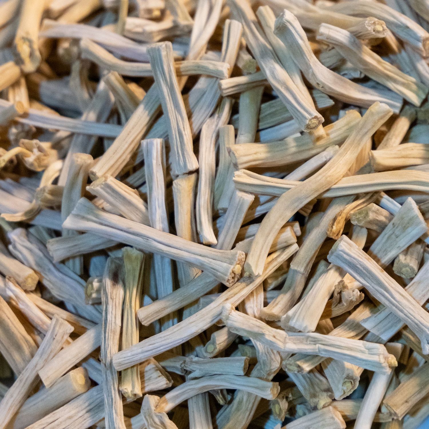 Shatavari Root, from