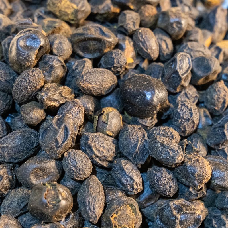 Saw Palmetto Berries, from