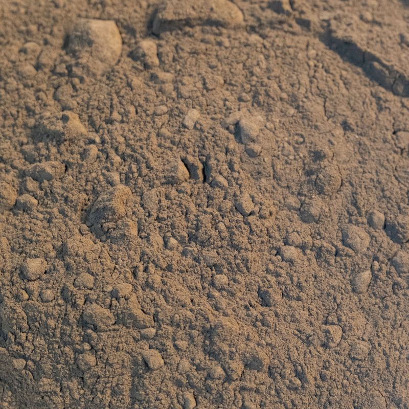 Rehmannia Root Powder, from