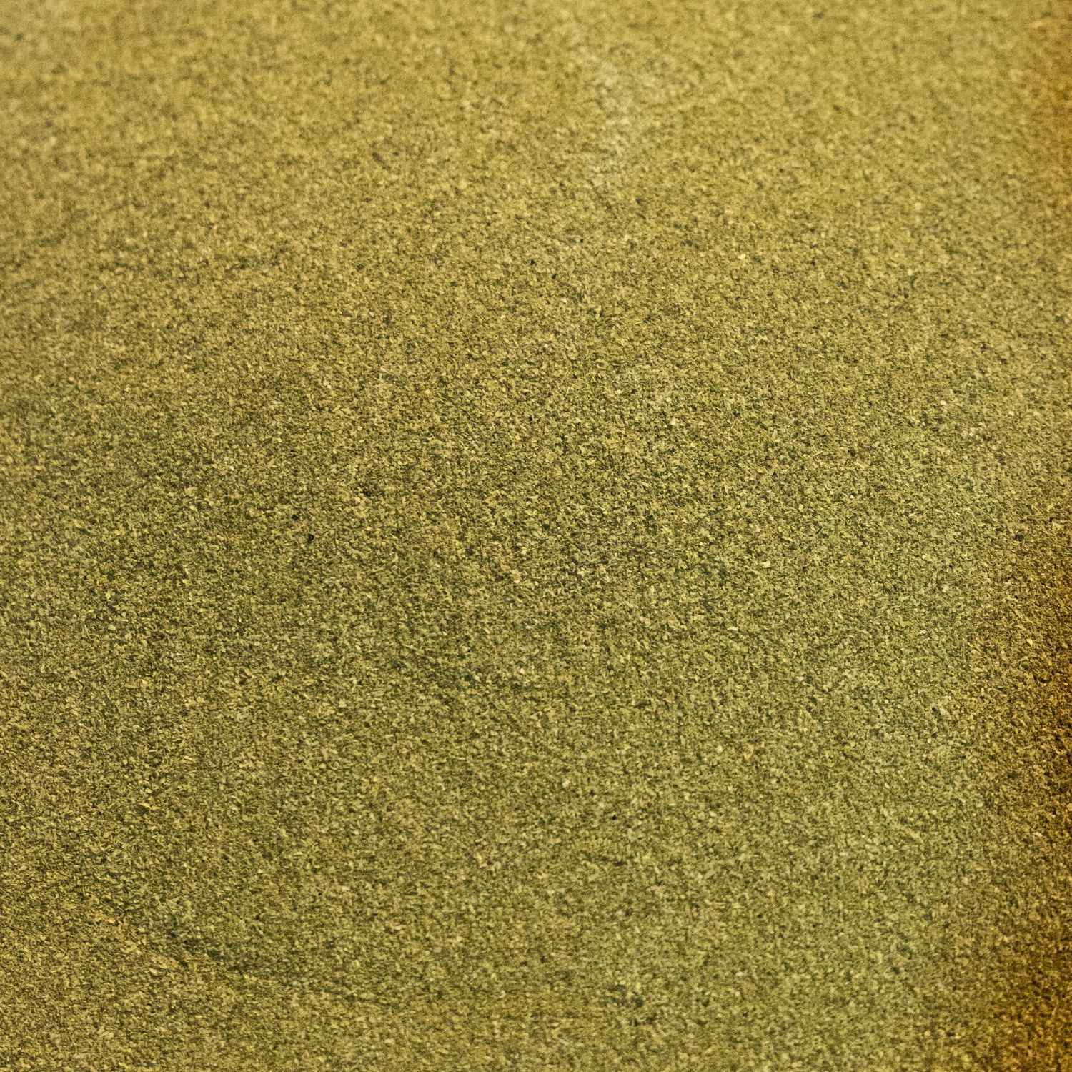 Senna Leaf Ground, from