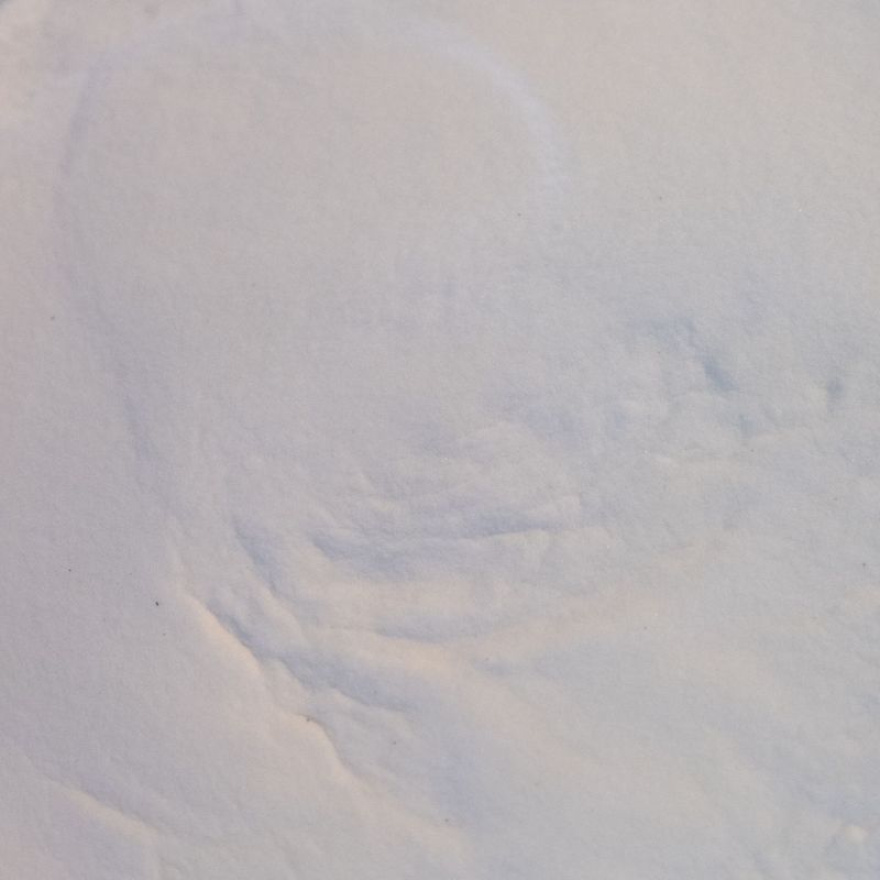 Bamboo Tabashir, from