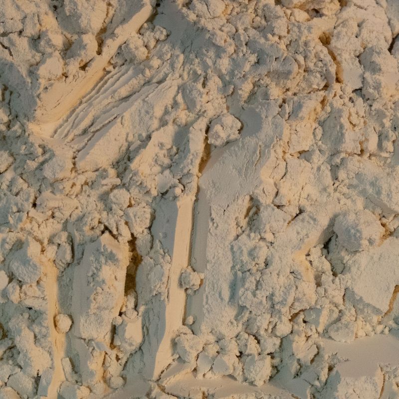 Pea Protein Powder, Organic