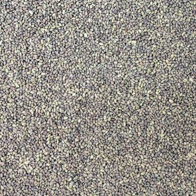Sprouting Seeds: Alfalfa Seeds Organic, from Sprouting Seeds: Alfalfa Seeds Organic, from