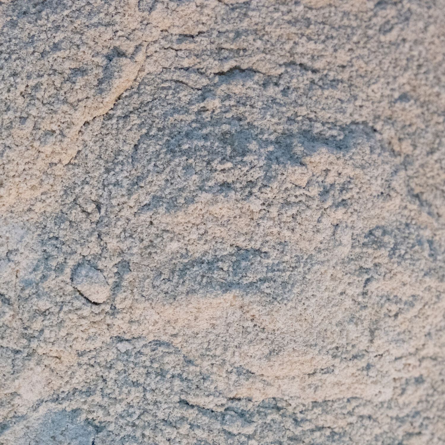 Sunflower Seed Protein Powder, Organic