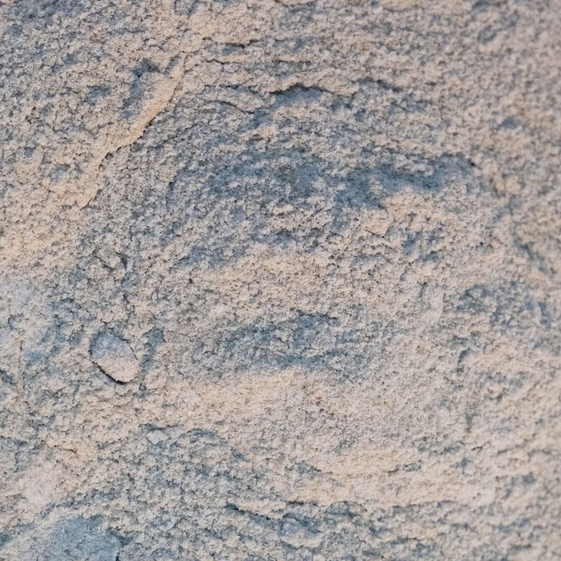 Sunflower Seed Protein Powder, Organic