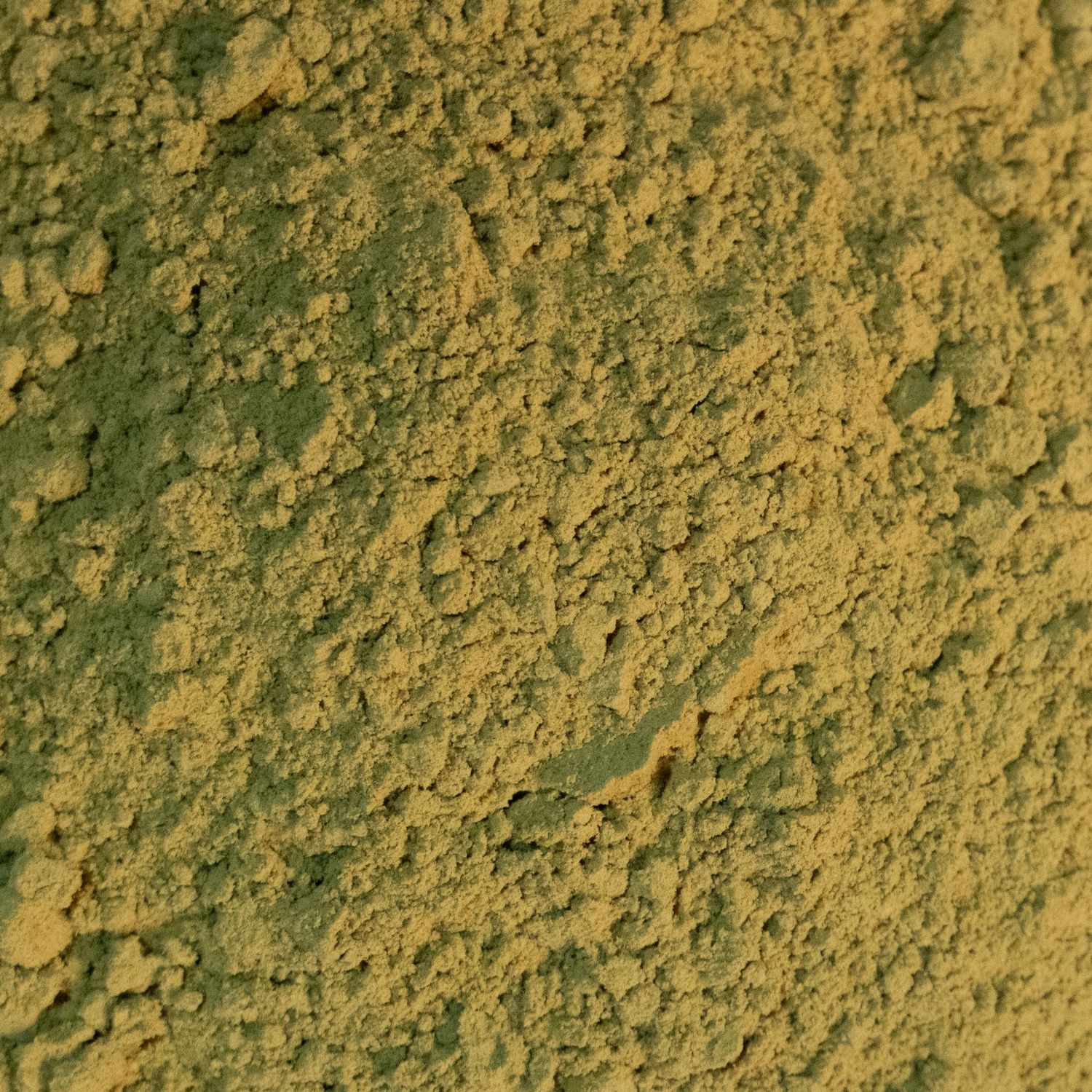 Pumpkin Seed Protein Powder, Organic